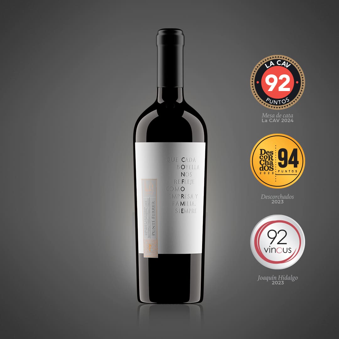 Cabernet Sauvignon, Premium, Conforme, Viña Punti Ferrer.