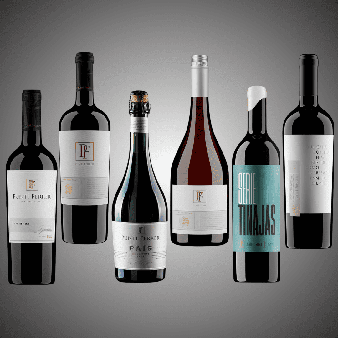 Pack 6 Vinos , La Mejor Variedad de la Viña