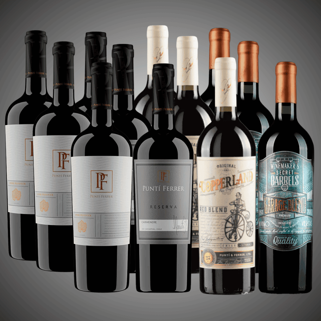 Pack 12 vinos Grandes Tintos de Cachapoal