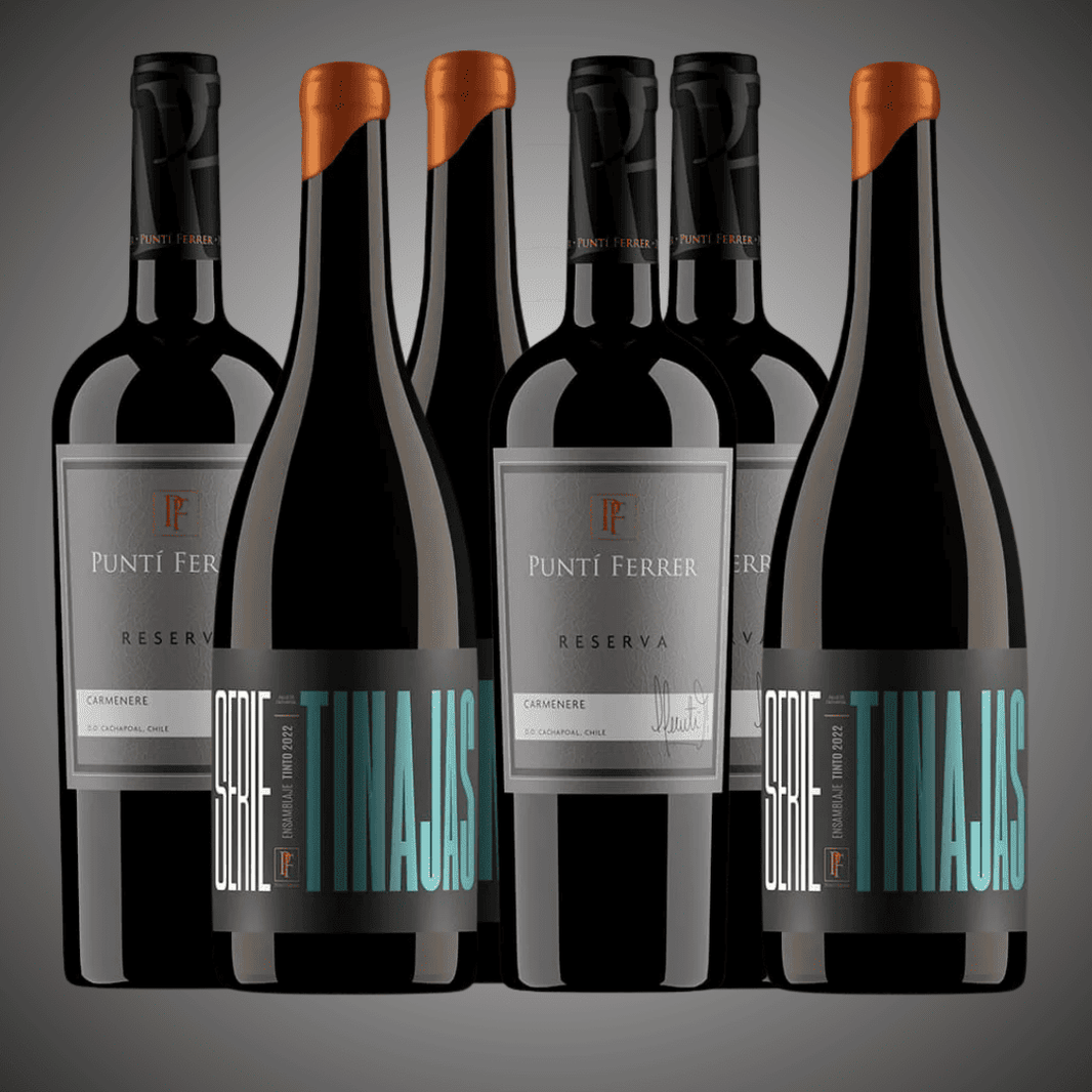 Pack 6 vinos la mezcla perfecta