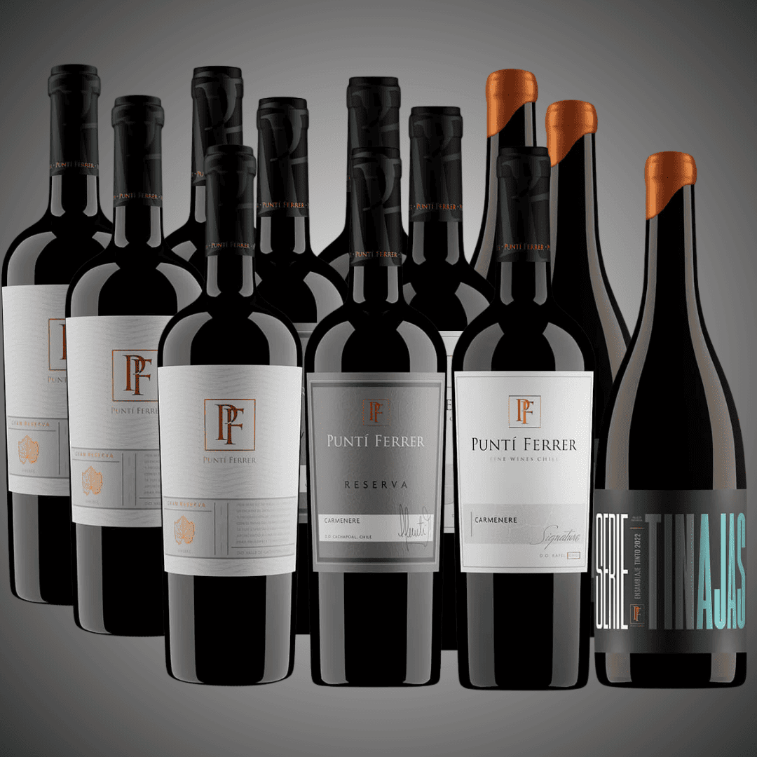 Pack 12 vinos, lo mejor del momento