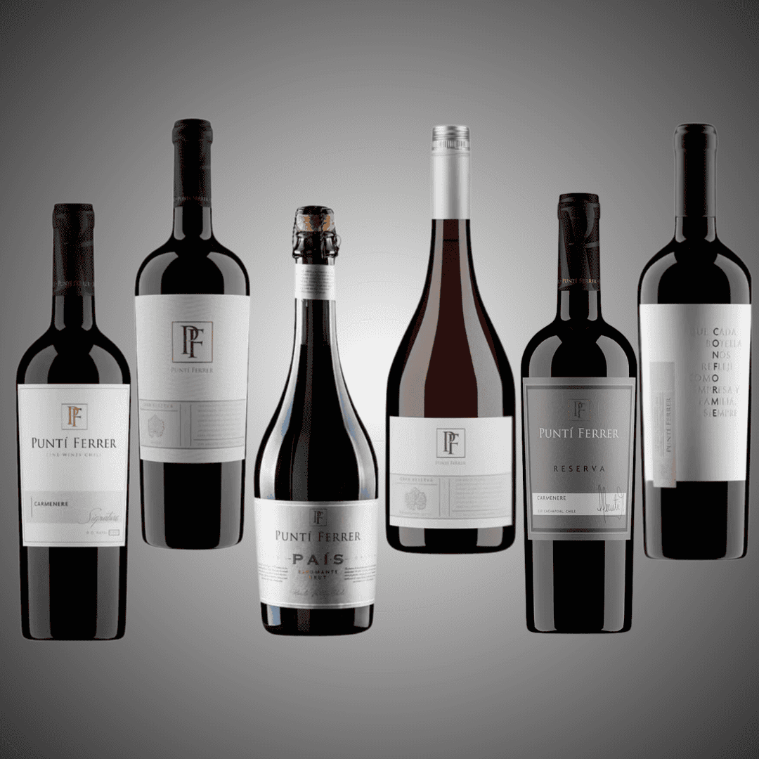 Pack 6 vinos, descubre Puntí Ferrer