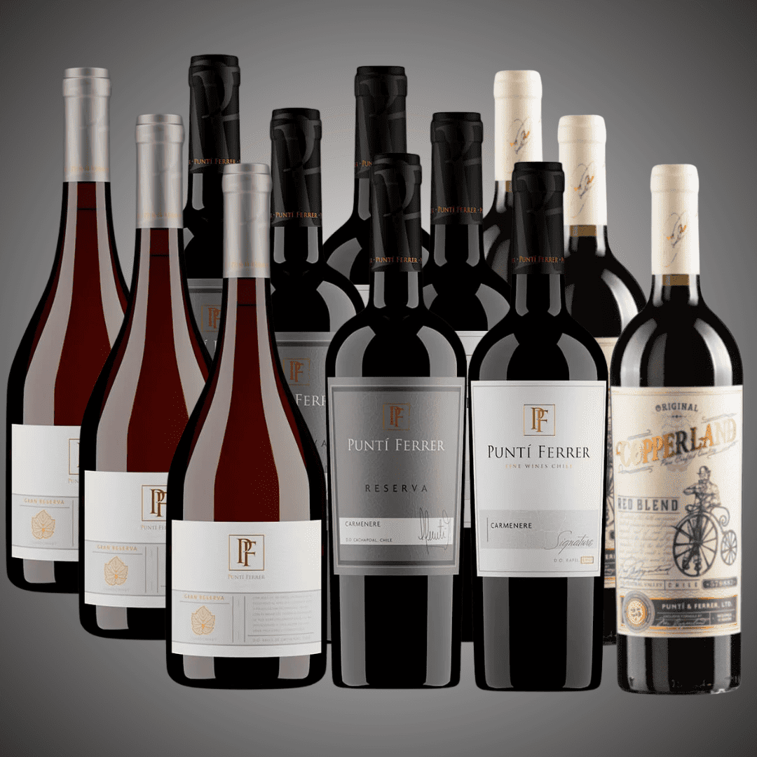 Pack 12 vinos reserva y gran reserva, al mejor precio