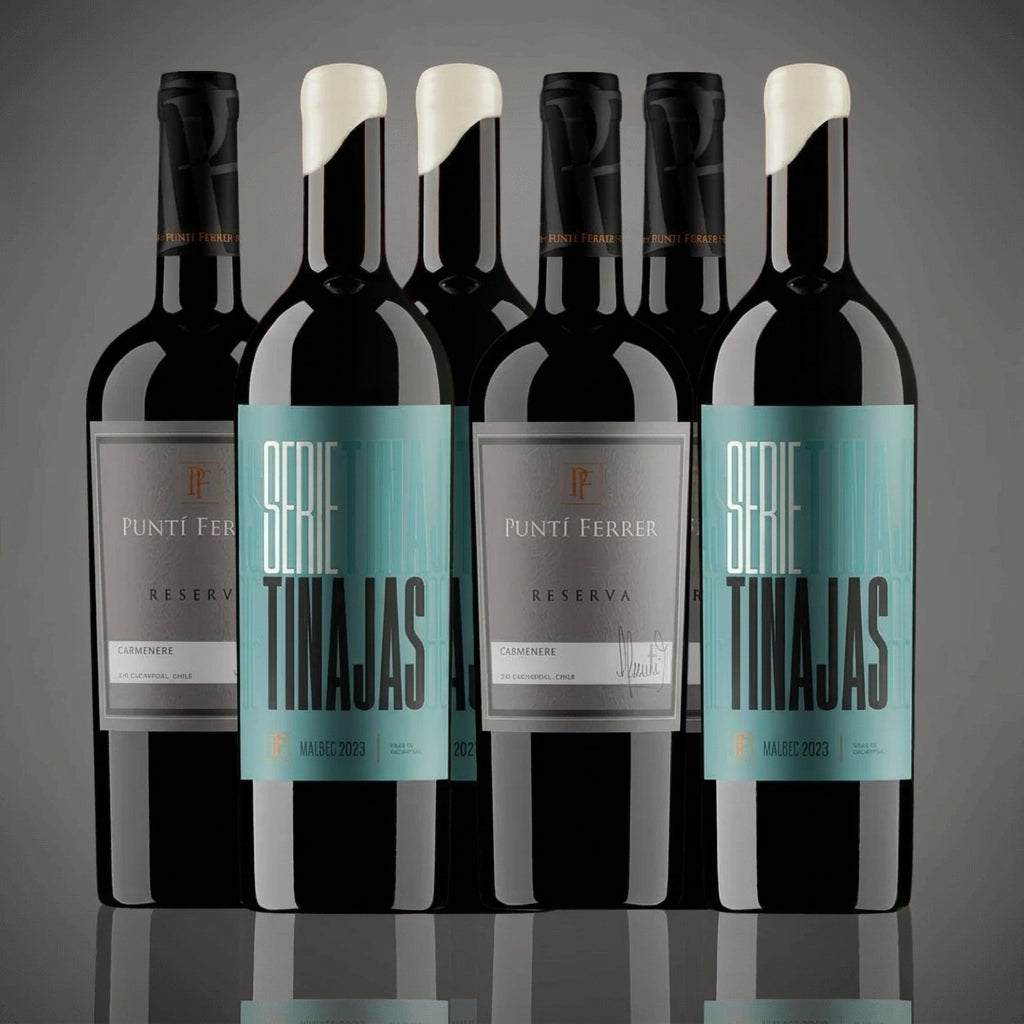 Pack 6 vinos la mezcla perfecta