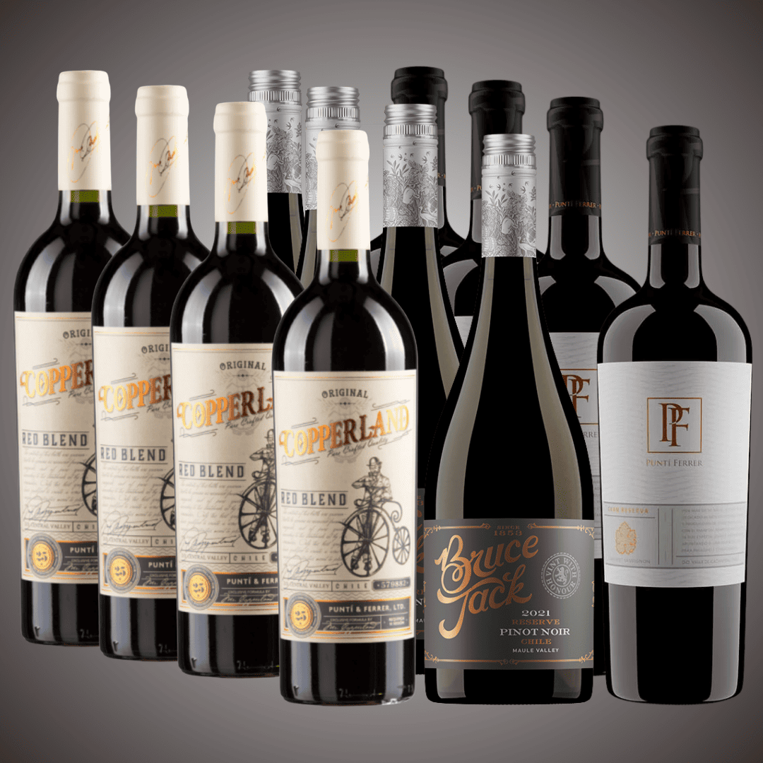 Pack 12 vinos, Copperland Red Blend, Bruce Jack Pinot Noir, Canto Andino GR CS