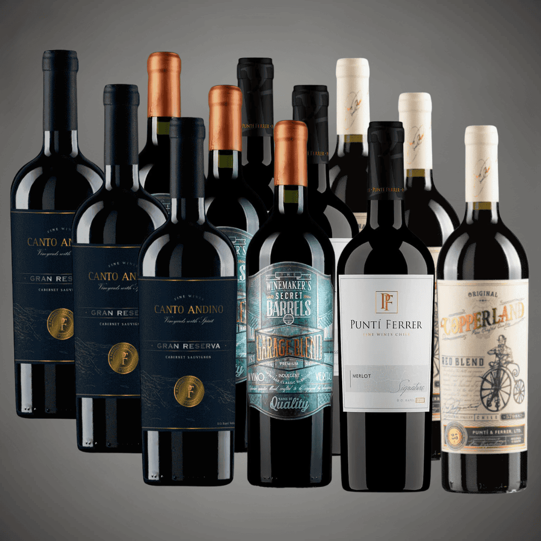 Pack 12 Vinos: Selección Tintos con Carácter