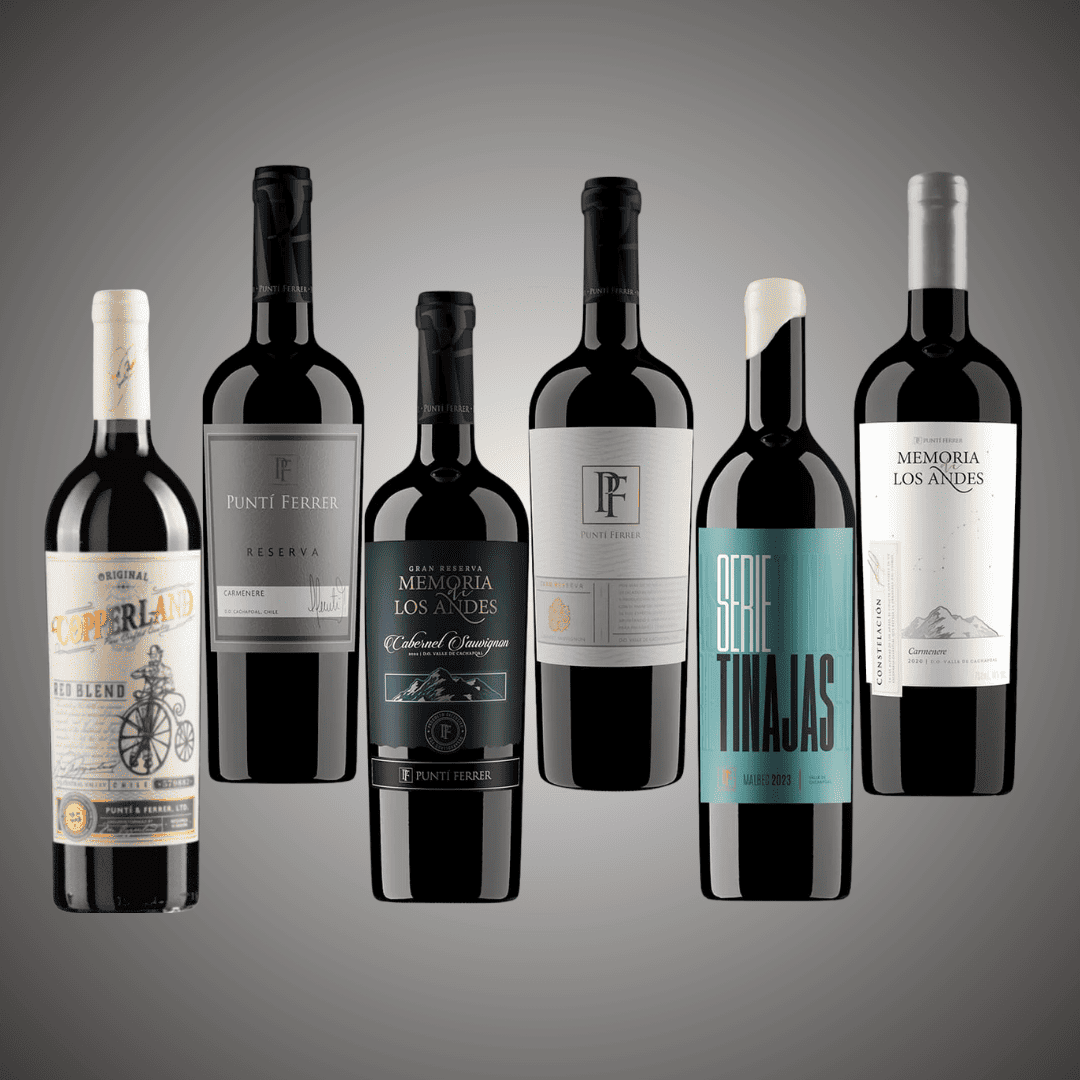 50% OFF, Pack 6 Vinos de Selección Premium