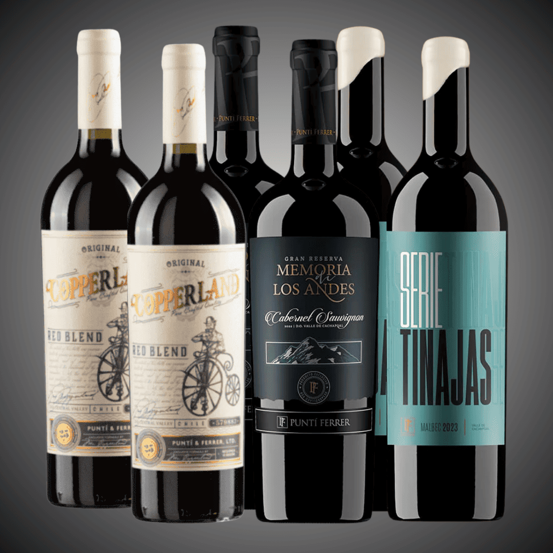 50%OFF, Pack 6 Vinos Selección Especial