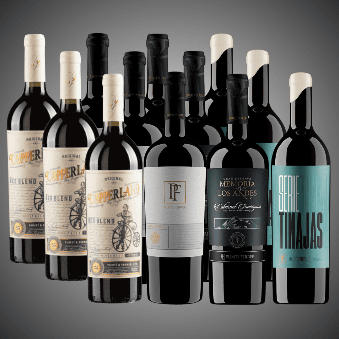 50% OFF, Pack 12 vinos, Lo mejor de Cachapoal.