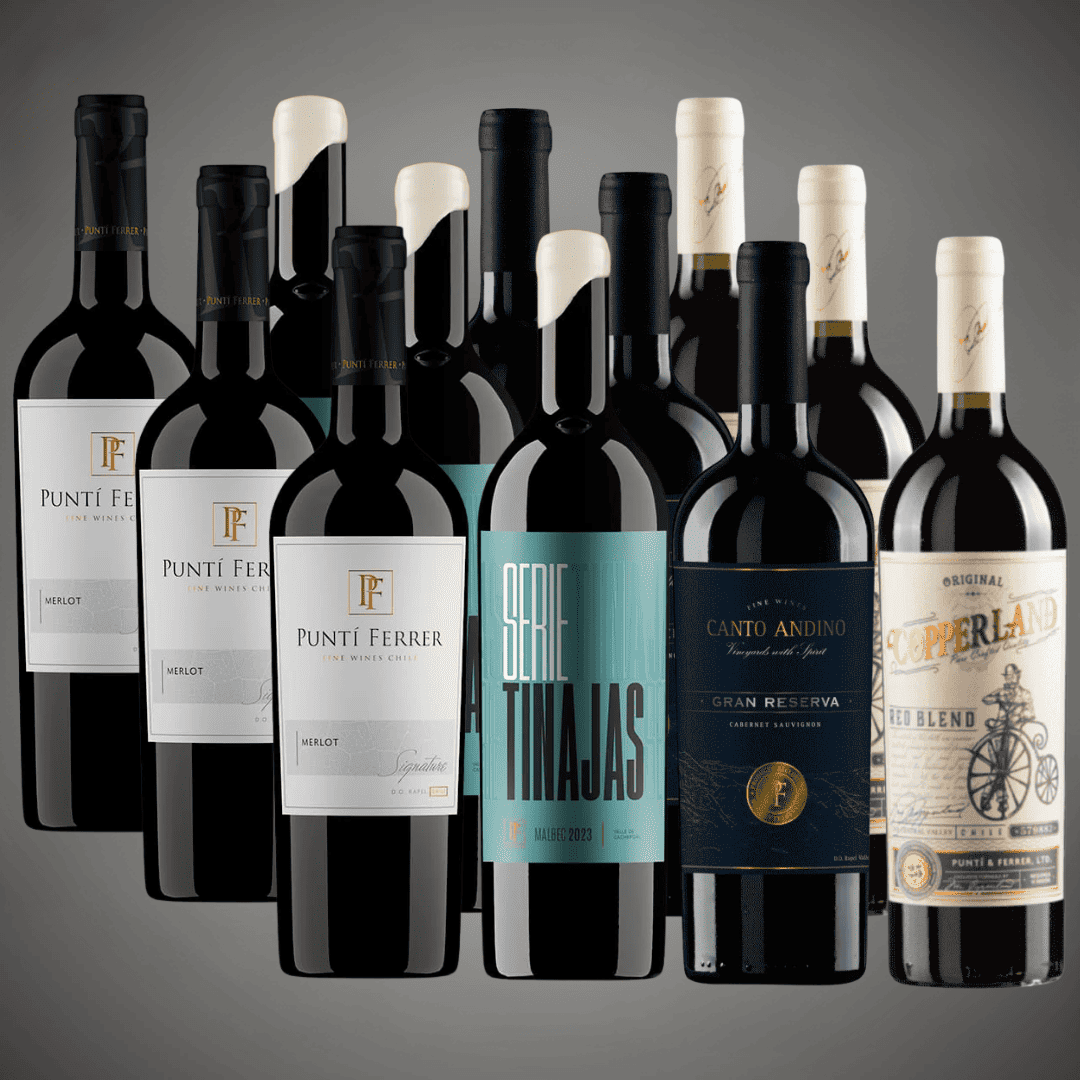 Pack 12 vinos: Selección Premium de Carmenere, Malbec y Blend