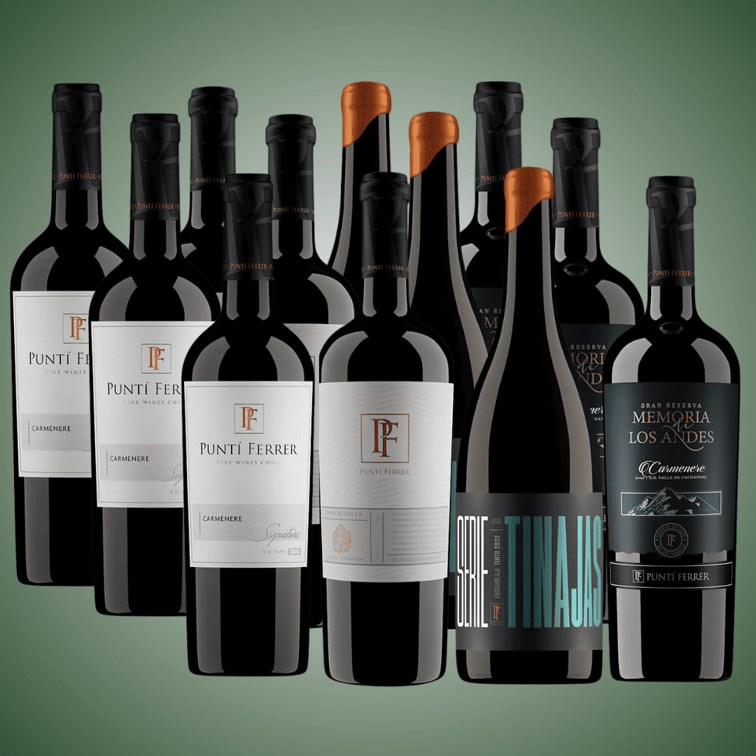 Pack 12 vinos, lo mejor de la viña