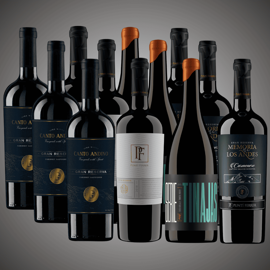 50%OFF, Pack 12 vinos, lo mejor de la viña