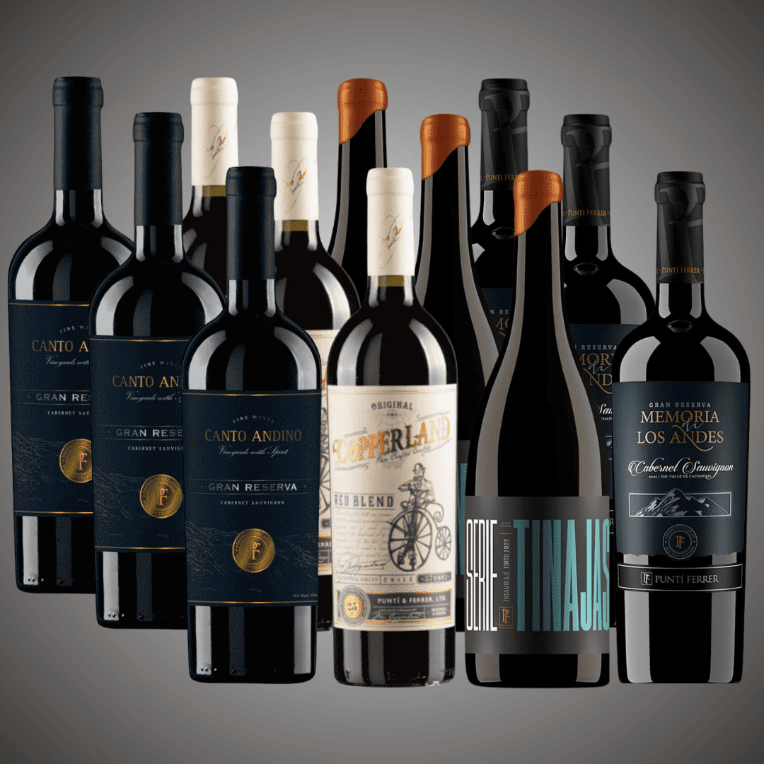 48% OFF, Pack 12 vinos selección del enólogo