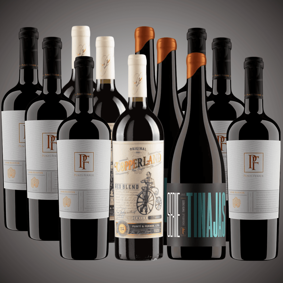 Pack 12 vinos selección del enólogo