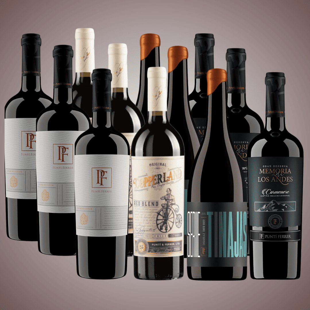 Pack 12 vinos selección del enólogo