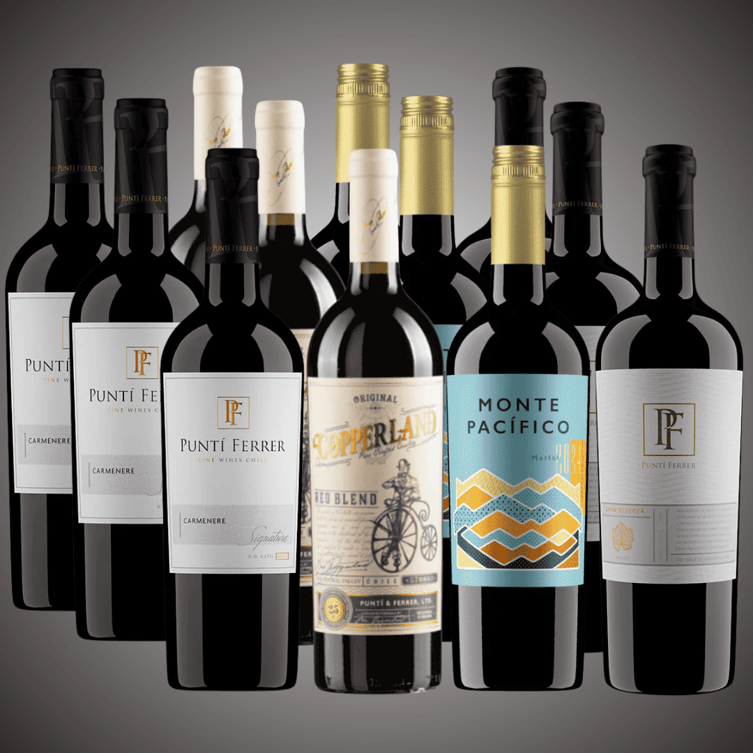 Pack 12 vinos, La mejor variedad