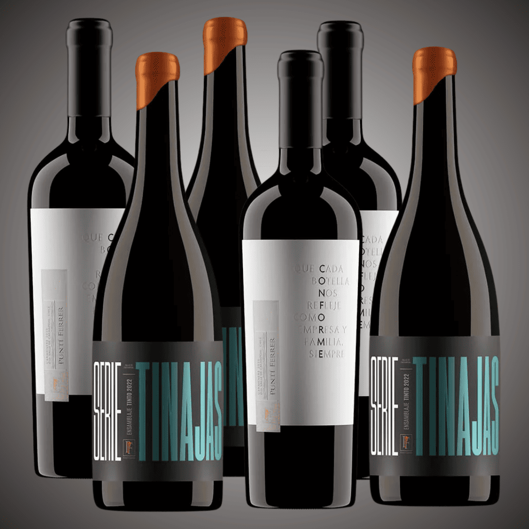 Pack 6 vinos, nuestra selección de la viña