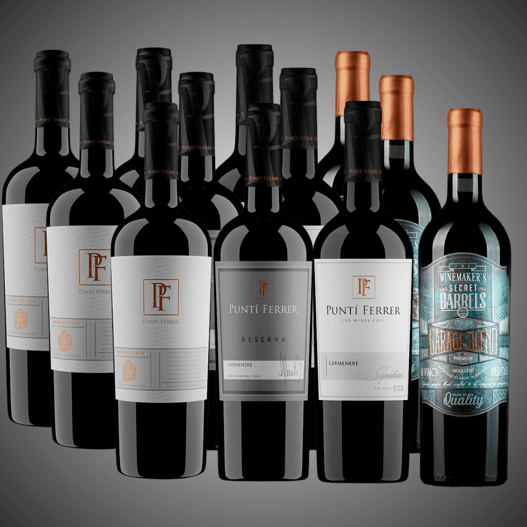 Pack 12 vinos, lo mejor del momento