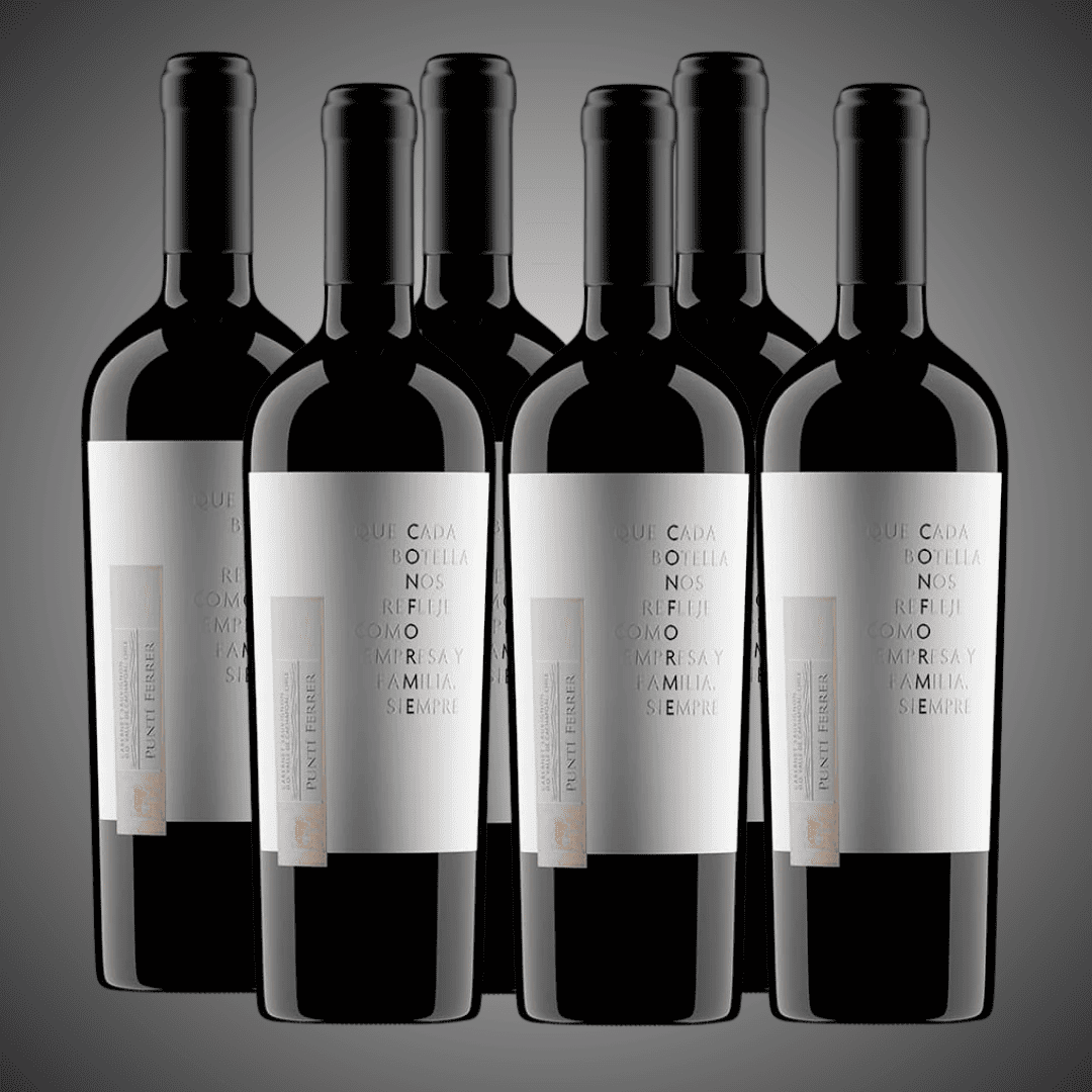 40% OFF, Pack 6 vinos, lo mejor de Conforme carmenere y cabernet sauvignon