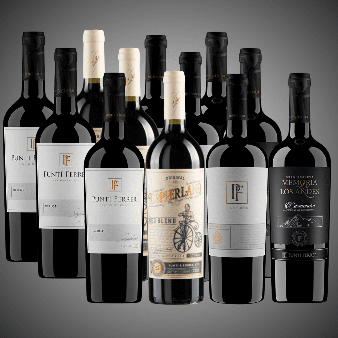 Pack 12 Vinos Tintos con Carácter: Carmenere, Blend y Cabernet