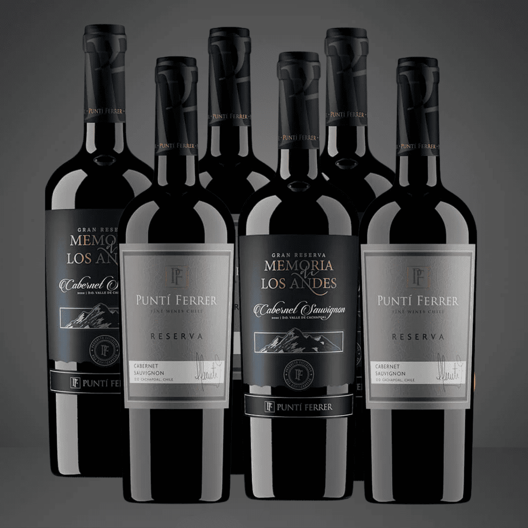 45% OFF, Pack 6 vinos, Reserva y Gran Reserva Cabernet Sauvignon, Memoria de los Andes