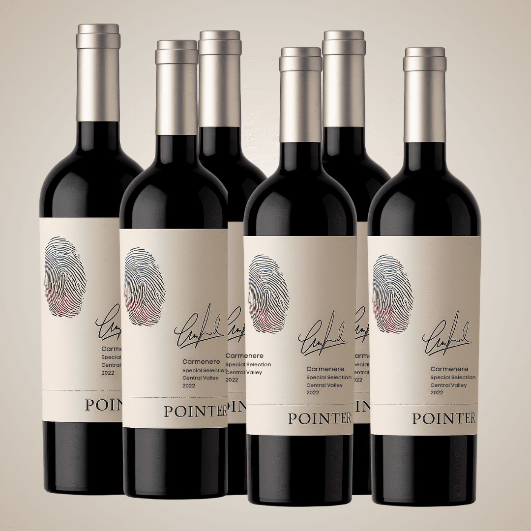 60% OFF, Pack 6 vinos, Saldo de exportación Pointier Carmenere