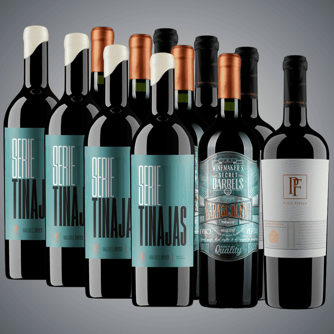 Pack 12 vinos, Carmenere Gran Reserva, Garage Carmenere, Tinajas Malbec